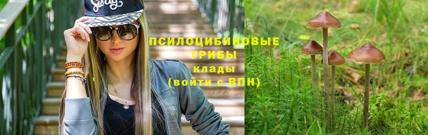 бошки Покровск