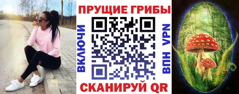 Галлюциногенные грибы прущие грибы  blacksprut   Рыльск 
